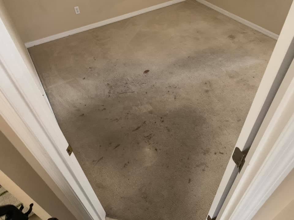 Dirty carpet before Edwin's Carpet Cleaning service