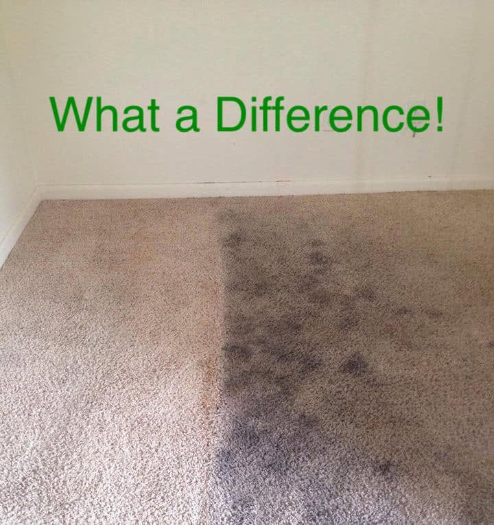 Carpet cleaning result showing the clean area beside the untreated soiled area