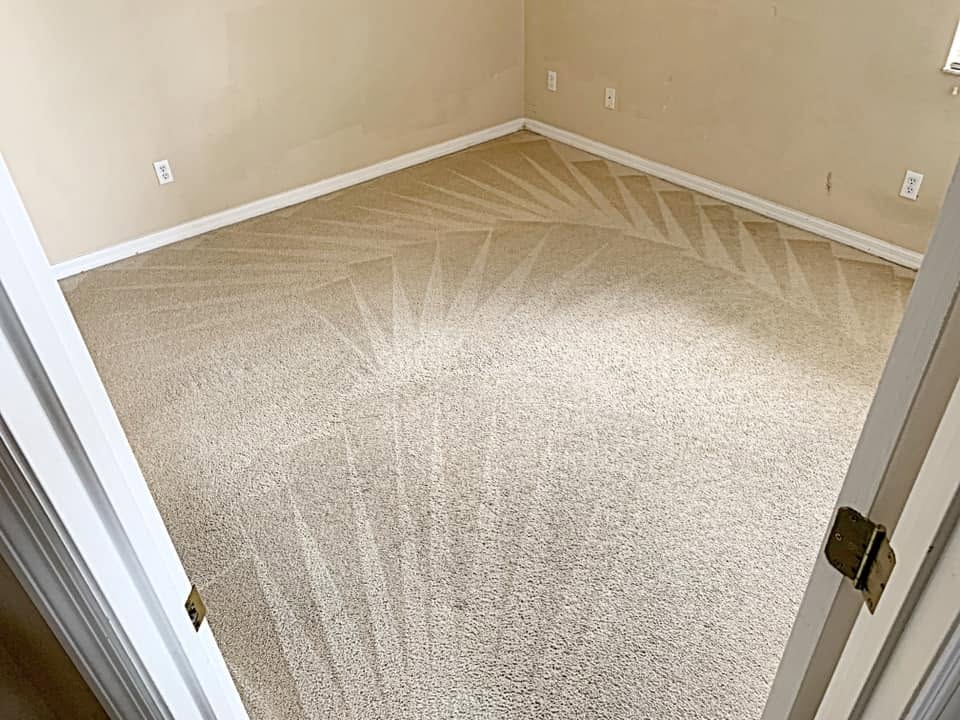 Same carpet after Edwin's Carpet Cleaning service, clean and refreshed