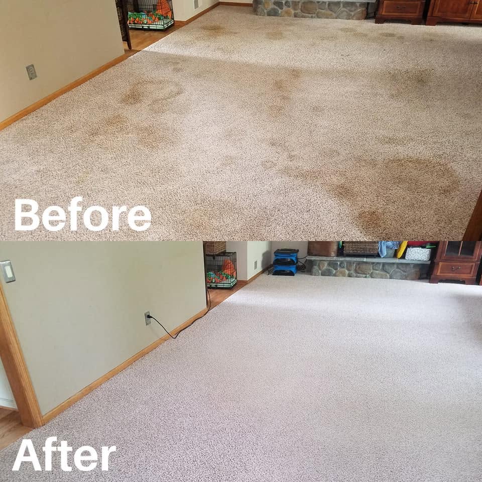 Before and after comparison of a stained living room carpet restored to a clean finish